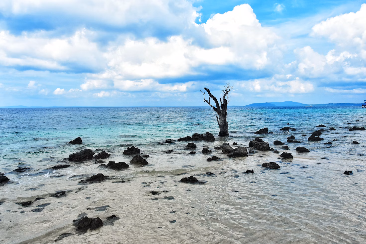 Family-Friendly Andaman Tour